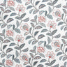 Cider