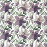African Violet
