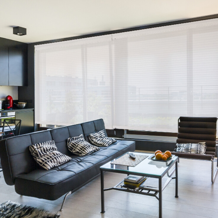 Honeycomb Sheer blinds in modern apartment living room
