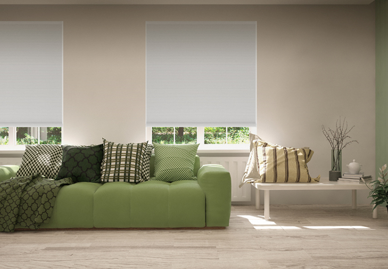 Honeycomb Blockout blinds in living room with green themed decor