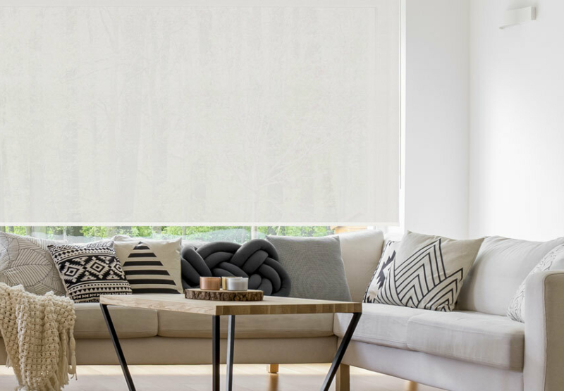 White Roller Sunscreen blind in living room